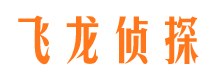 浪卡子市调查公司